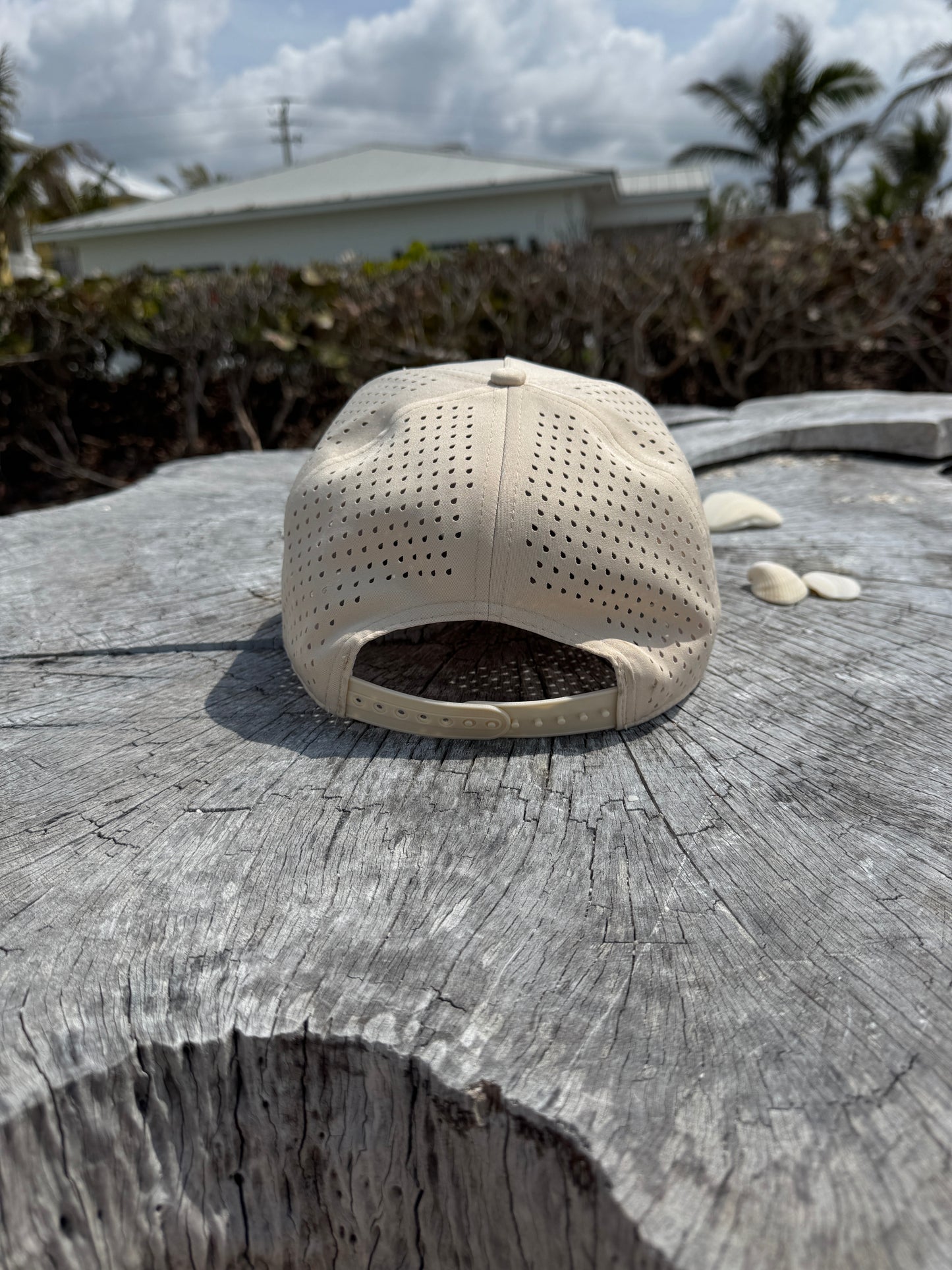 Momentum Logo Patch Hat